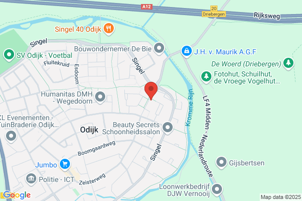 Olijf Voedingsadvies