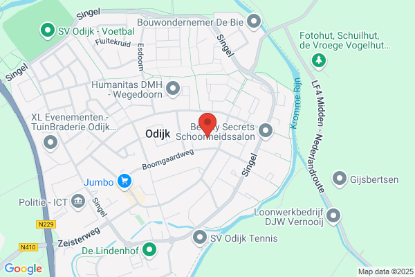 Steenidee