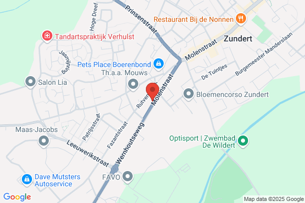 BJ Zundert