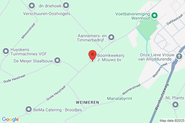 Boomkwekerij J.J.M. Mouws Bv