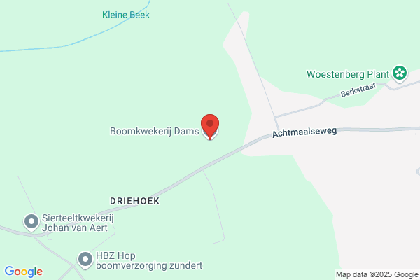 Dams Boomkwekerij