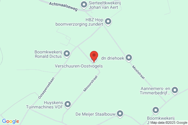 Loek Oostvogels
