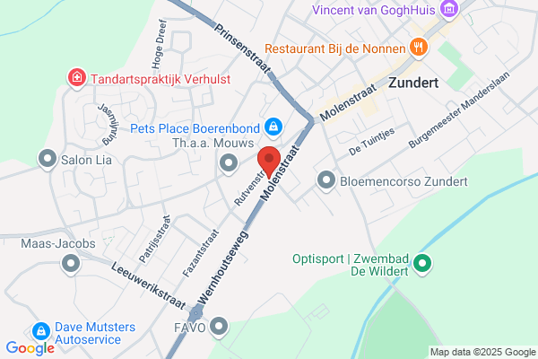 Schoenlapper De