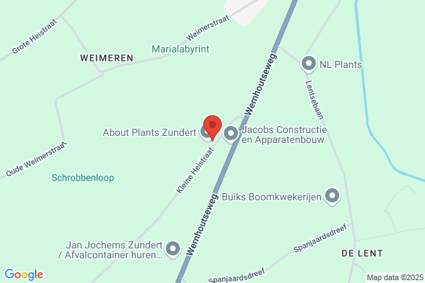 Vof Boomkwekerij Jochems - Van Opstal