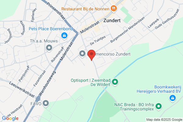Vrijwillige Thuiszorg, Sticht