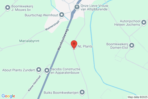 Wernhoutse Boomkwekerijen Bv
