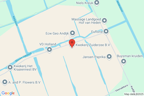 Firma Gebroeders Duijn Plantenkwekerij