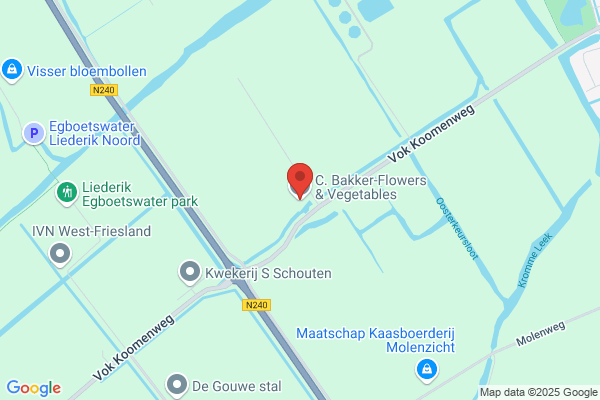 Bakker En Zn, Fa N G