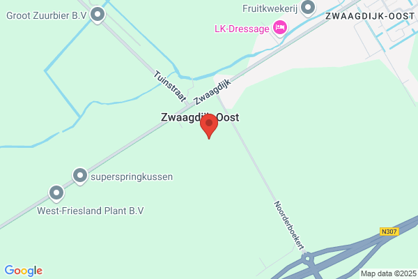 Action Zwaagdijk