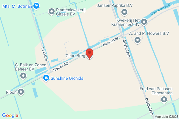 Fa Gebr. Schenk Broei En Bloemkwekersbedrijf
