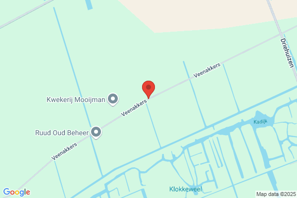Klaas Buurman Cv