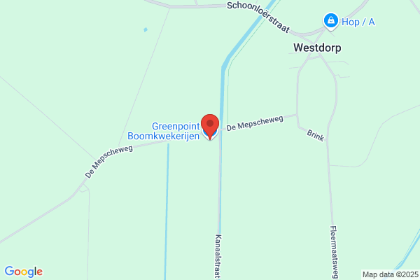 Westdorpe Bloemen En Plantenhandel