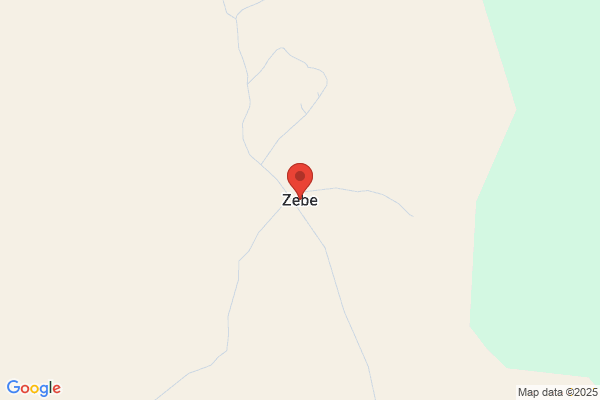 Zebemetha