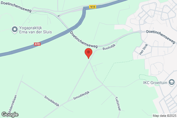 Wisselink, Ineke