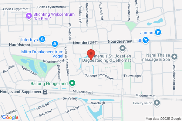 Active Software Ned
