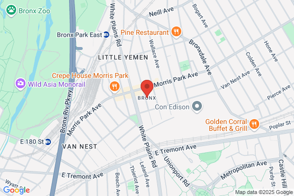 Bronx