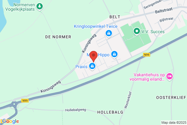 Vliet Magnetics Holland (VMH)