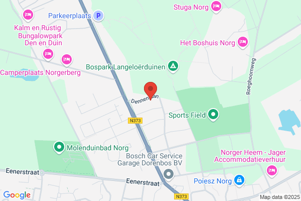 Cavia, Sticht