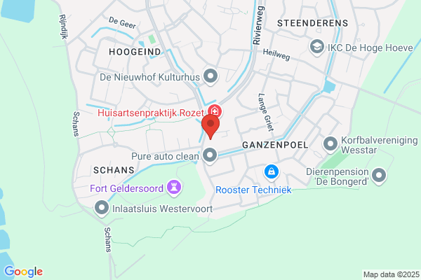 Jong, De