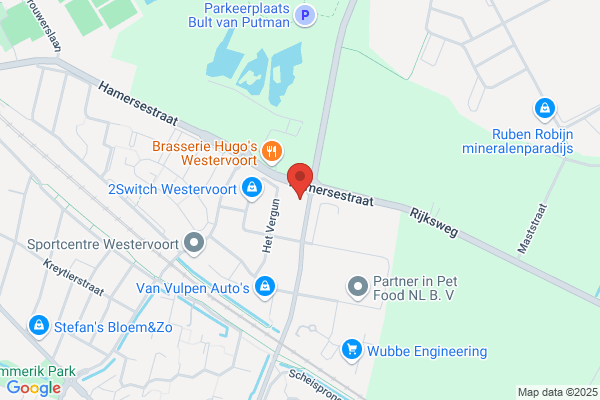 Holland Info Bv