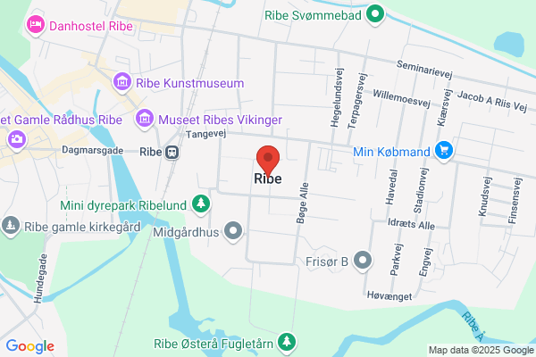 Ribe
