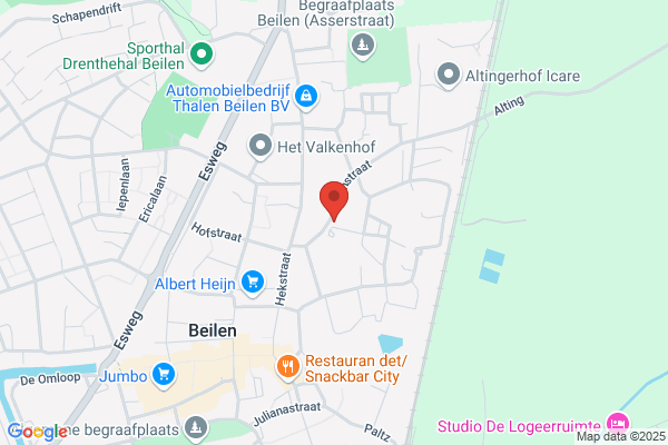 Noormannen, De