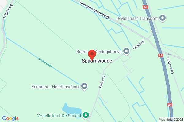 De Torenvalkjes