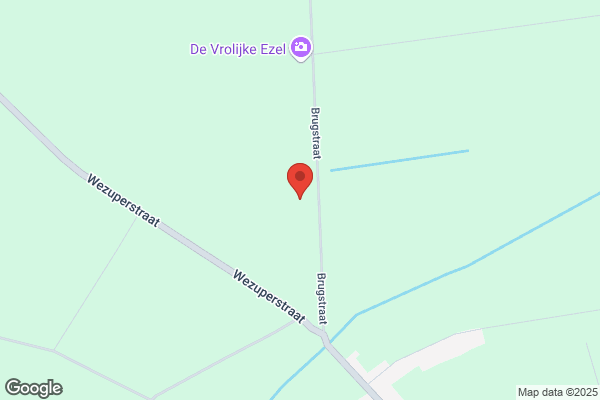 Reinders, H