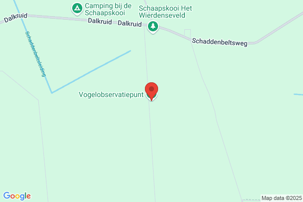 Biewenga, W A