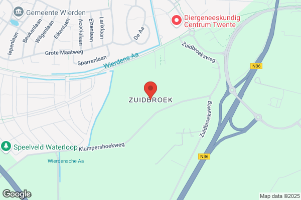 Zuiden, Het