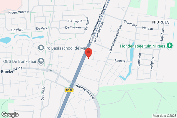 Bcf International Bv