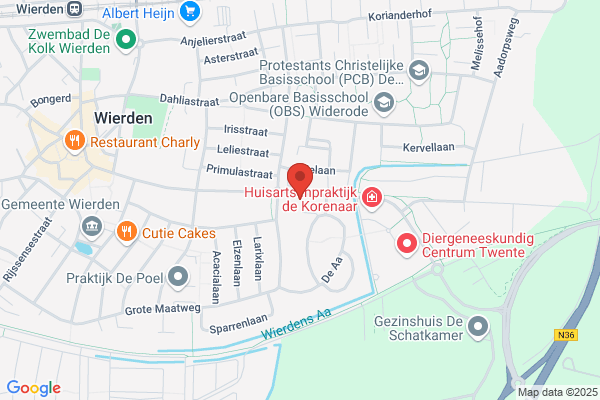 Niezink Wierden Holland
