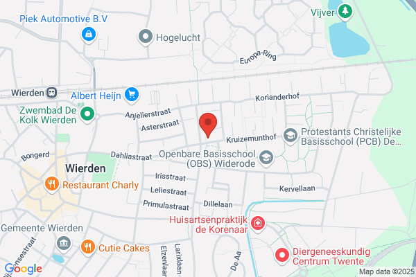 Nijzink, W