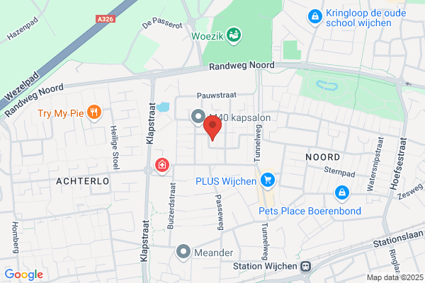 Klassieke Homeopaath Acupunctuur H. Tiemessen