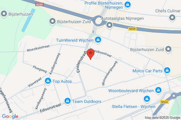 Kunstpalm.nl