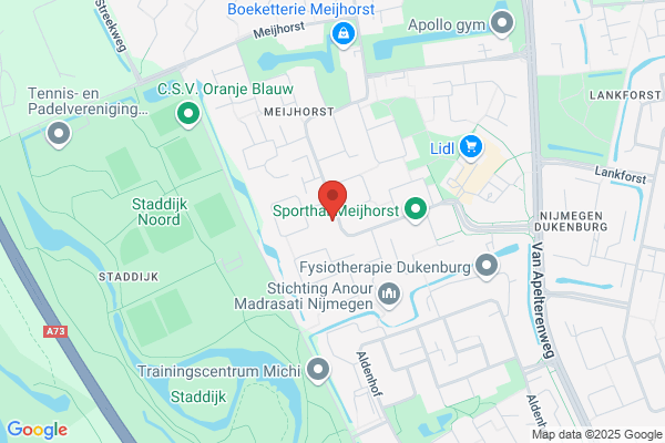 De Meiboom