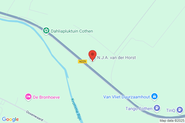 Van Der Horst