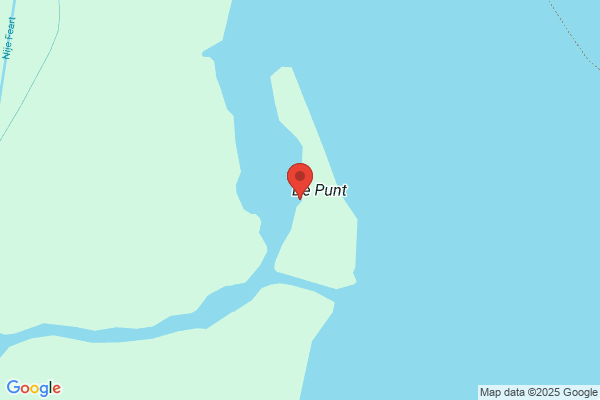 De Punt