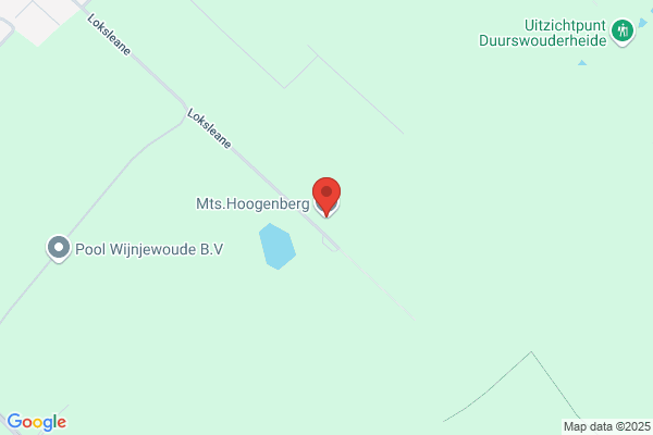 Hooghiemstra Gj