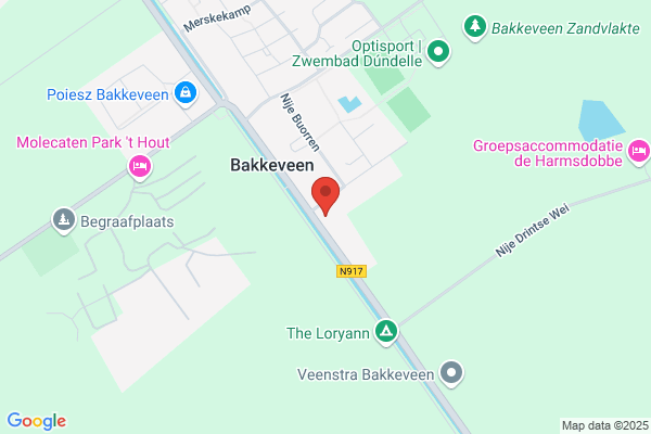 Protestantese gemeente it Keningsfjild Predikant
