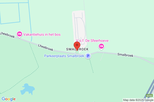 Boszicht