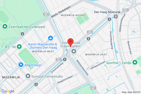 Erasmusflat