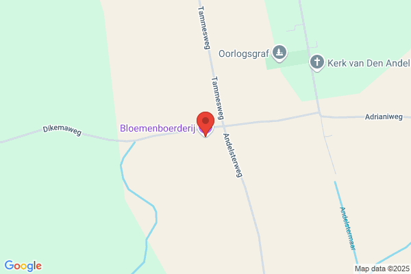 Martje's Bloemenboerderij