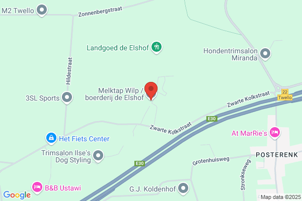 Hofpoel