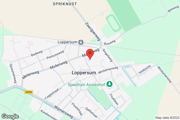 Fysiotherapie J Dekker en S Hanemaaijer