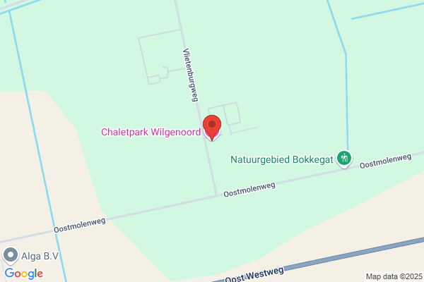 Wilgenoord