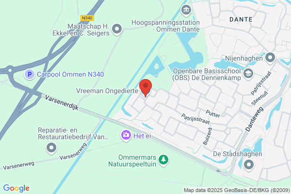 Gerjo Nijman plaagdierbeheersing & boomadvies