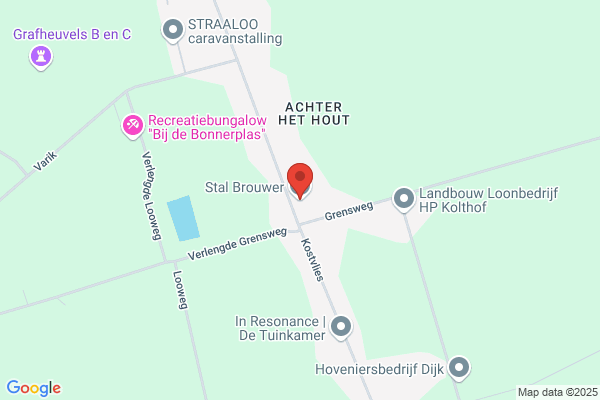Brouwer, Anne