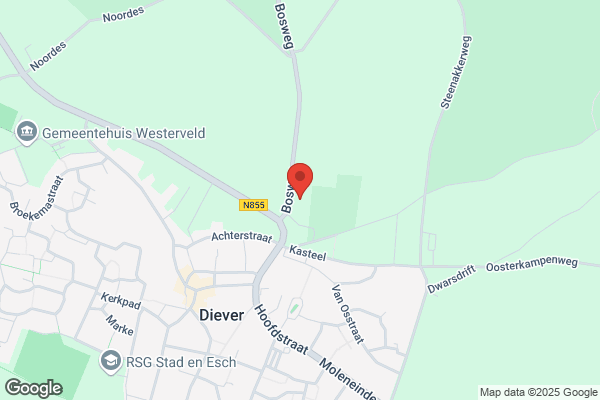 Vvv Diever