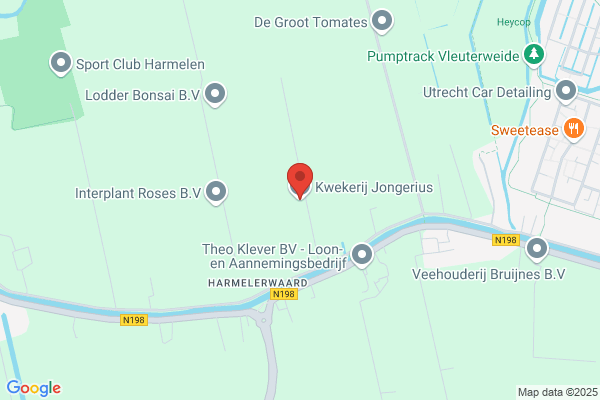 Bloemenkwekerij Jan Joren Bv